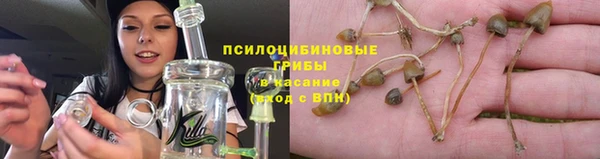 гидропоника Волоколамск