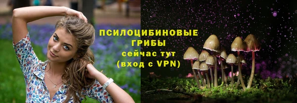 герыч Володарск