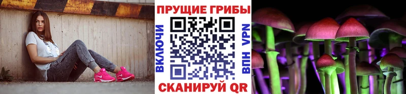 Псилоцибиновые грибы Psilocybe  Брюховецкая 